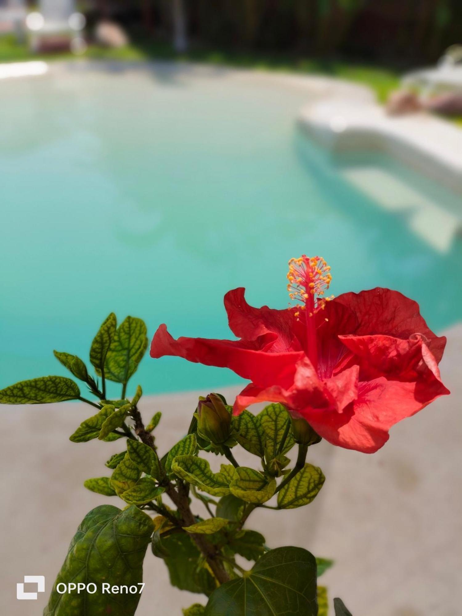 Teki-Sha Home&Suites Bacalar Extérieur photo